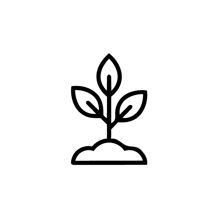 List